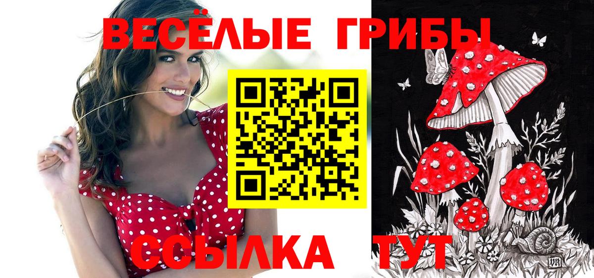 Псилоцибиновые грибы Psilocybine cubensis  Вход с VPN  Галлюциногенные грибы мицелий  Феодосия 